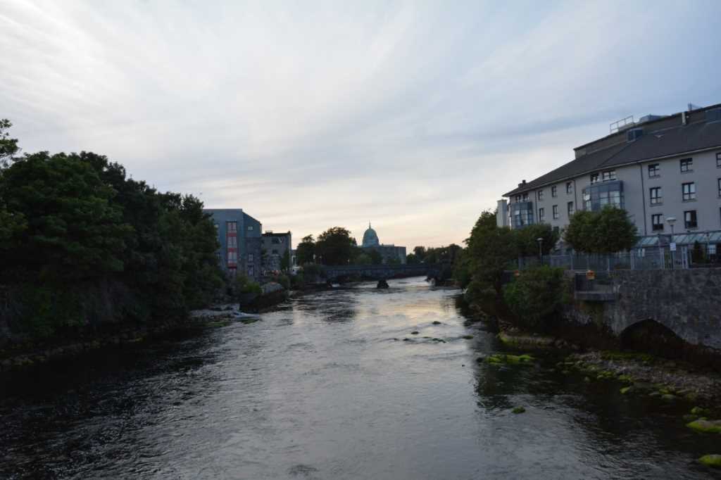 DSC_5639Mittel_.JPG